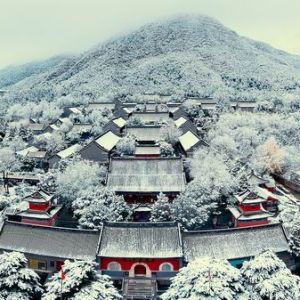 2023年P(guān)HA六地巡回國際攝影展（印度） 結(jié)果揭曉