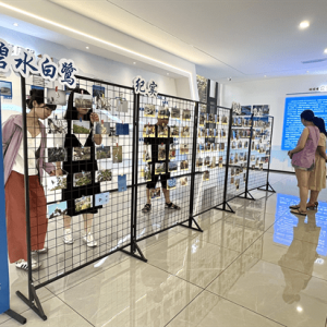 碧水白鹭映丽州！“活力钱江”职工摄影展开展啦