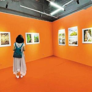 第十四届“美丽深圳”摄影大赛落幕 100件优秀作品展出深圳美丽