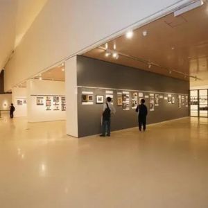 菲利普斯赠书摄影文献展在央美美术馆展出