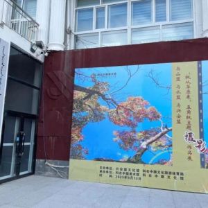 展讯 | “枫从草原来”五角枫主题摄影作品展，超有看头！