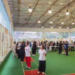 兴义市举办“康养胜地 人文兴义—翰墨飘香歌盛世 丹青亮彩写华章”老年书画摄影展活动