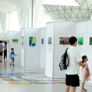 12万人次线下观展意犹未尽！潮新闻 低碳生活向未来 线上摄影展来了