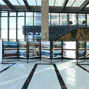 沉醉崂山美景,光影艺术享受——品质崂山摄影展成功开展