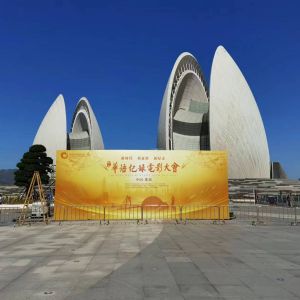 应约拍摄记录第二届 华语纪录电影大会“荣光大道”仪式