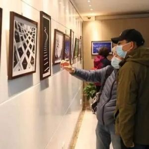 收集“拾光”记录生活，“追光逐影”摄影展在普陀开幕
