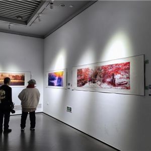 “大美伊春·魅力丰林”雾凇摄影作品展举行