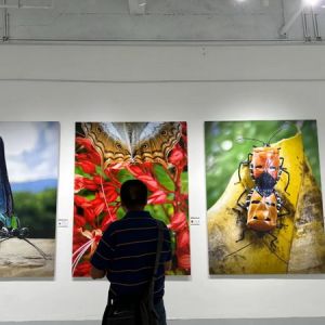 卢跃刚昆虫摄影巡回展开展