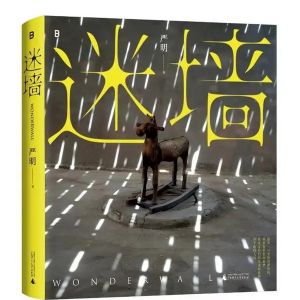 艺术｜侯登科奖得主、著名摄影师严明首部彩色摄影集，百余幅新作集结面世