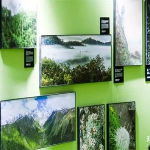 《什么是云南》主题摄影展在沪启幕