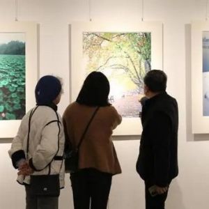 “湖欣依旧”书法摄影展在恒庐美术馆开幕