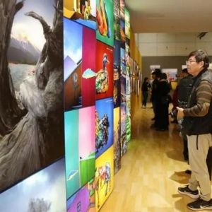 130名青年摄影师个性化感知大千世界 全国青年摄影大展苏州开幕