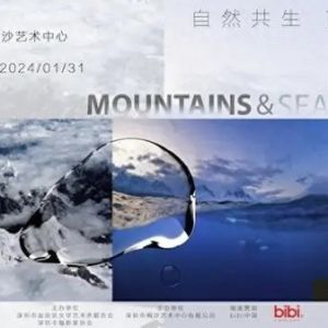 “山海交响——王石、岳鸿军摄影公益联展”即将奏响山海“和鸣”