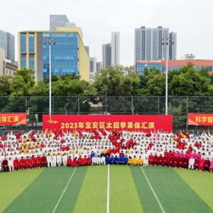 2023年宝安区太极拳集体汇演成功举行