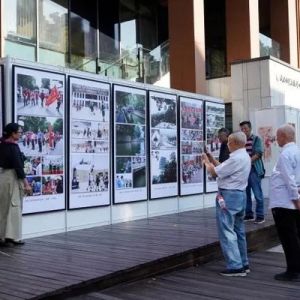 临平街道举办书画摄影比赛 进一步深化创建省级森林城镇成果
