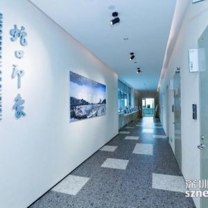 蛇口印象摄影摄像大赛颁奖 摄影界大咖探讨《AI时代下的新影像》