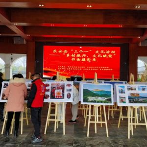 东安举办“乡村振兴·文化赋能”书画摄影展