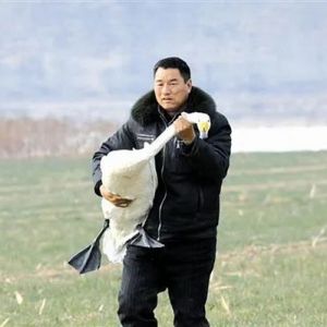三门峡“十大好人”｜张明云：一位本土摄影家的“护鸟”之路