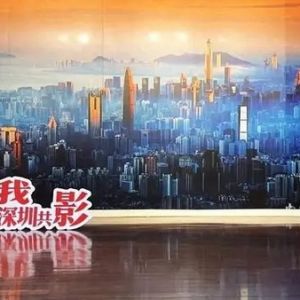 “深圳美术馆藏深圳题材摄影作品迎春展”以影像展现城市蝶变