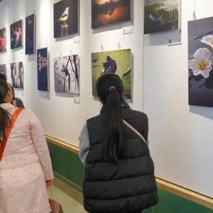 用光影捕捉翠湖生灵之美 翠湖公园生物多样性摄影大赛摄影展启幕