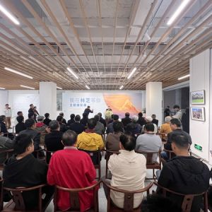 深圳：《我在林芝等你》主题摄影展在宝安美术馆开展