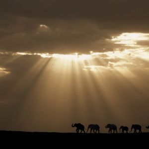 2024第一届Chitrachintaa国际数码摄影展（孟加拉）结果揭晓