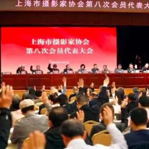 上海市摄影家协会召开第八次会员代表大会，王杰当选主席
