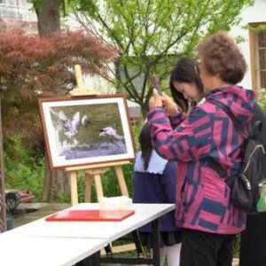 定格美丽乡村，快来看一场乡村摄影展吧