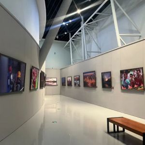 赛罕区摄影作品展开启 千幅佳作共鉴光影之约
