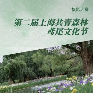【活動】第二屆上海共青森林鳶尾文化節攝影大賽開始征稿啦～ ... ...