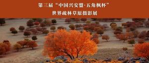征集 | 第三屆“中國興安盟·五角楓杯”世界疏林草原攝影大展 ...