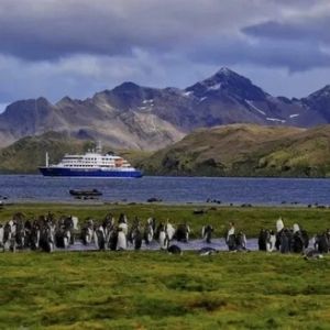 关注南极，关爱地球——王琛谈2024年南极拍摄之旅