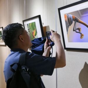 “游园+生态摄影展”，领略生物多样性之美