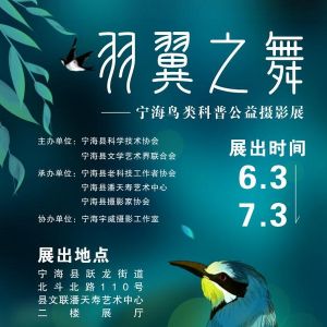普及鸟类知识，提升环保意识，宁海县举办“羽翼之舞”鸟类科普公益摄影展 ...