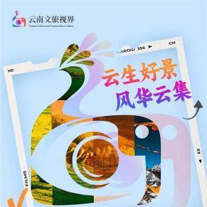 “云南文旅视界”平台上线 同时开展摄影征集评选活动
