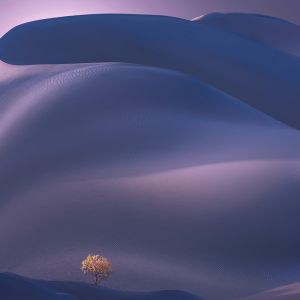 2024太陽花國際攝影展覽（捷克）結果揭曉