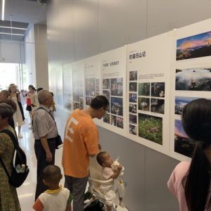 惠及市民逾8万人次！第15届“美丽深圳”摄影大赛落幕