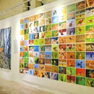 “影缘镜界 大美山西”优秀摄影师作品展