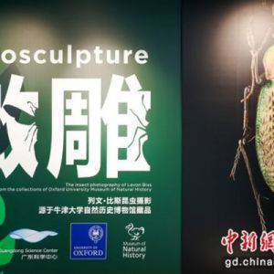 《微雕》摄影展在广东科学中心展出