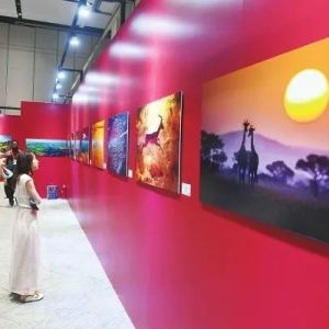 “东方之韵遇上色彩非洲” 中非文化交流展在长沙启幕