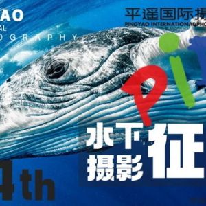 獻(xiàn)給世界海洋日丨PIP平遙國(guó)際攝影大展隆重推出“新質(zhì)影像 首屆水下攝影展” ...