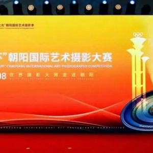 "奥塔杯"朝阳国际艺术摄影大展获奖作品总结与线上展播 ...