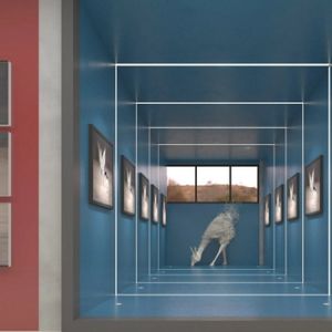 “她叙事·表情”展今日线上开展，展期至8月28日