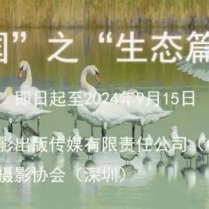 征稿進(jìn)行時(shí) | “美麗中國(guó)”之“生態(tài)篇”攝影展征稿啟事