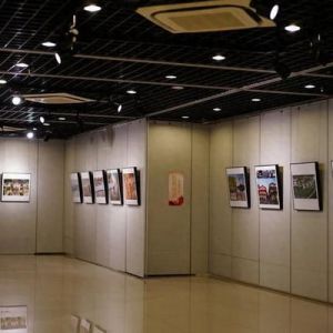 山海光影·昭通风物--闵行昭通东西部协作成果摄影艺术展