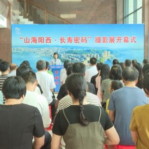 阳西“山海阳西·长寿密码”摄影展盛大开幕