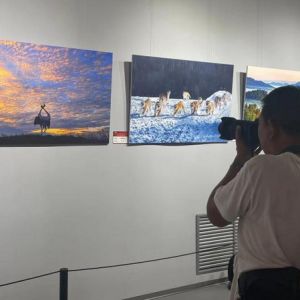 百余幅摄影艺术作品亮相黑龙江 聚焦黑土地上的振兴发展