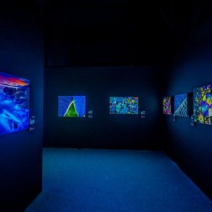感受自然奇景 “极致发现科学艺术影像展”9月6日亮相成都