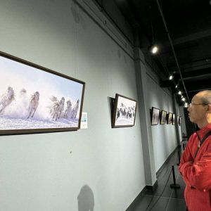 蒙古马精神——内蒙古美术摄影作品展在我市开展