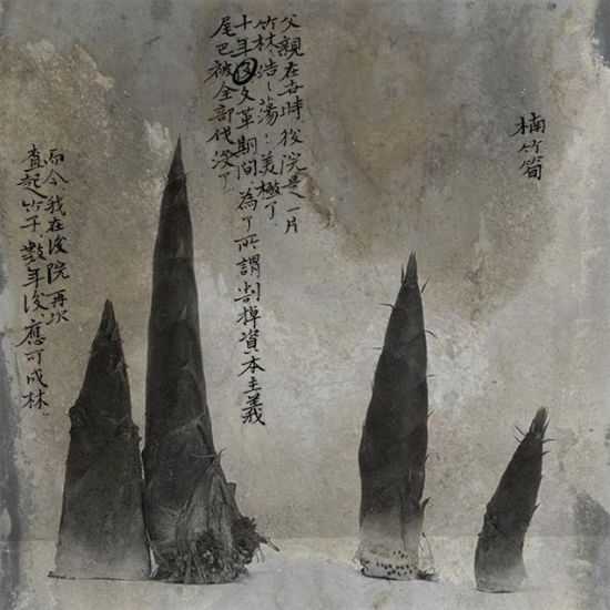 《梦溪II》(系列) 作者：魏壁